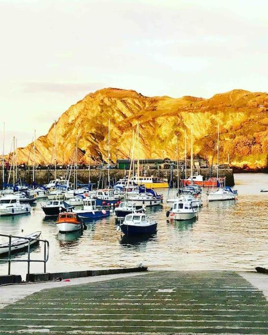 Paramount Apartments Ilfracombe, Arty Seaside Holiday Apartments Εξωτερικό φωτογραφία