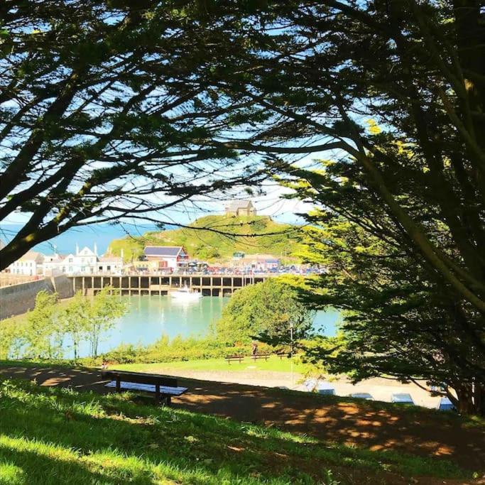 Paramount Apartments Ilfracombe, Arty Seaside Holiday Apartments Εξωτερικό φωτογραφία