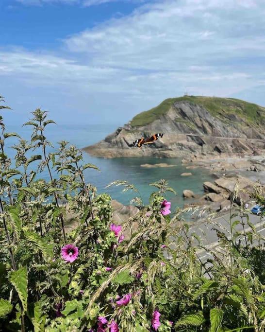 Paramount Apartments Ilfracombe, Arty Seaside Holiday Apartments Εξωτερικό φωτογραφία